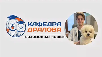 Трихомониаз кошек: простая болезнь, осложненная нюансами диагностики и лечения
